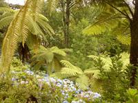 Azoren August 2014 095 &ndash; &copy; Barbara Werrmann (Eberhardt TRAVEL)