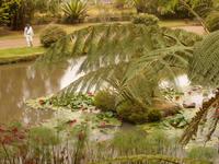 Azoren August 2014 099 &ndash; &copy; Barbara Werrmann (Eberhardt TRAVEL)