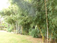 Azoren August 2014 218 &ndash; &copy; Barbara Werrmann (Eberhardt TRAVEL)