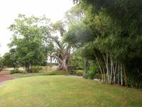 Azoren August 2014 219 &ndash; &copy; Barbara Werrmann (Eberhardt TRAVEL)