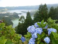 Azoren August 2014 245 &ndash; &copy; Barbara Werrmann (Eberhardt TRAVEL)