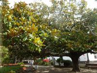 Azoren August 2014 018 &ndash; &copy; Barbara Werrmann (Eberhardt TRAVEL)