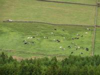 Azoren August 2014 345 &ndash; &copy; Barbara Werrmann (Eberhardt TRAVEL)
