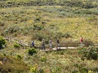 Azoren August 2014 424 &ndash; &copy; Barbara Werrmann (Eberhardt TRAVEL)