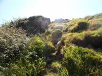 Azoren August 2014 422 &ndash; &copy; Barbara Werrmann (Eberhardt TRAVEL)