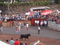 Azoren August 2014 455 &ndash; &copy; Barbara Werrmann (Eberhardt TRAVEL)