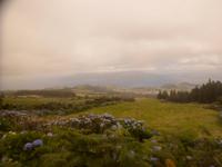 Azoren August 2014 486 &ndash; &copy; Barbara Werrmann (Eberhardt TRAVEL)