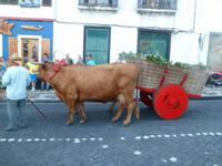 &copy; Barbara Werrmann (Eberhardt TRAVEL)
