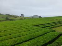Gorreana &ndash; &copy; Ralf Kuchenbecker (Eberhardt TRAVEL)
