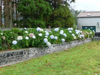 Sete Cidades  &ndash; &copy; Ralf Kuchenbecker (Eberhardt TRAVEL)
