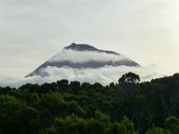 Pico