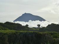 Pico Alta