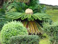 Horta &ndash; &copy; Ralf Kuchenbecker (Eberhardt TRAVEL)
