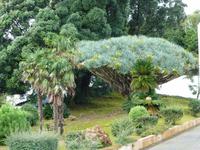 Horta &ndash; &copy; Ralf Kuchenbecker (Eberhardt TRAVEL)