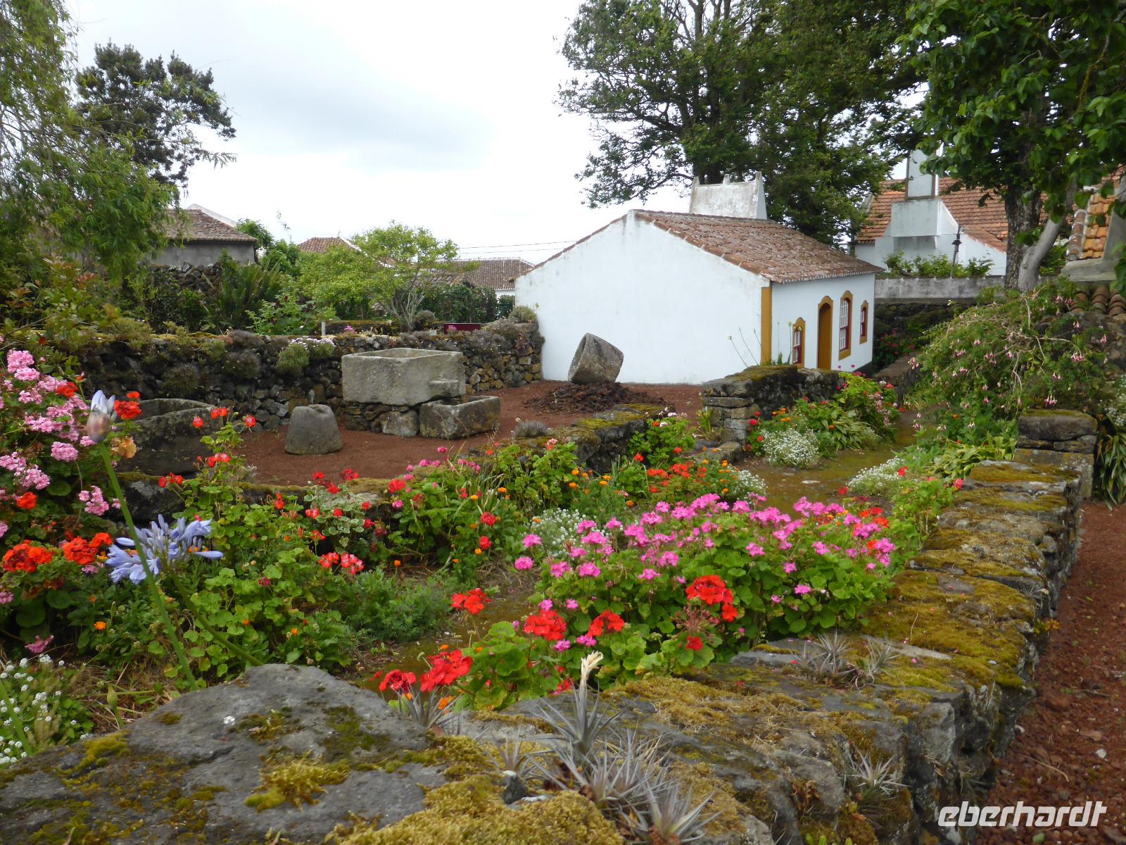 081-Terceira-Biscoitos &ndash; &copy; Dirk Schlosser (Eberhardt TRAVEL)