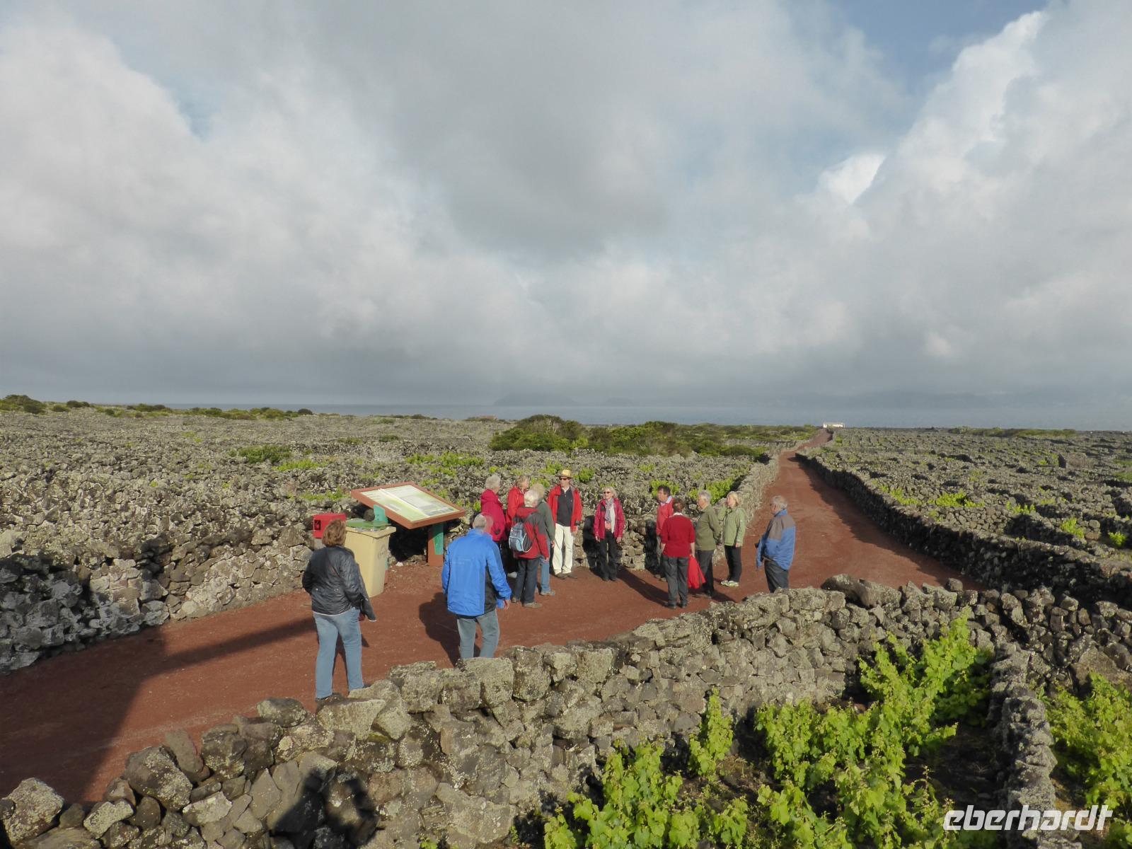 121-Pico_Madalena &ndash; &copy; Dirk Schlosser (Eberhardt TRAVEL)