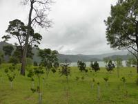 034-Sao_Miguel-Lagoa_das_Furnas &ndash; &copy; Dirk Schlosser (Eberhardt TRAVEL)