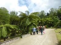 041-Sao_Miguel-Terra_Nostra &ndash; &copy; Dirk Schlosser (Eberhardt TRAVEL)
