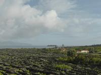 120-Pico_Madalena &ndash; &copy; Dirk Schlosser (Eberhardt TRAVEL)