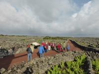 121-Pico_Madalena &ndash; &copy; Dirk Schlosser (Eberhardt TRAVEL)