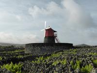 122-Pico_Madalena &ndash; &copy; Dirk Schlosser (Eberhardt TRAVEL)