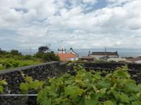 131-Pico-Adega_a_Buraca &ndash; &copy; Dirk Schlosser (Eberhardt TRAVEL)