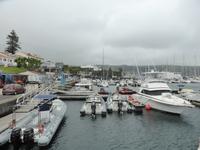 149-Faial-Horta
