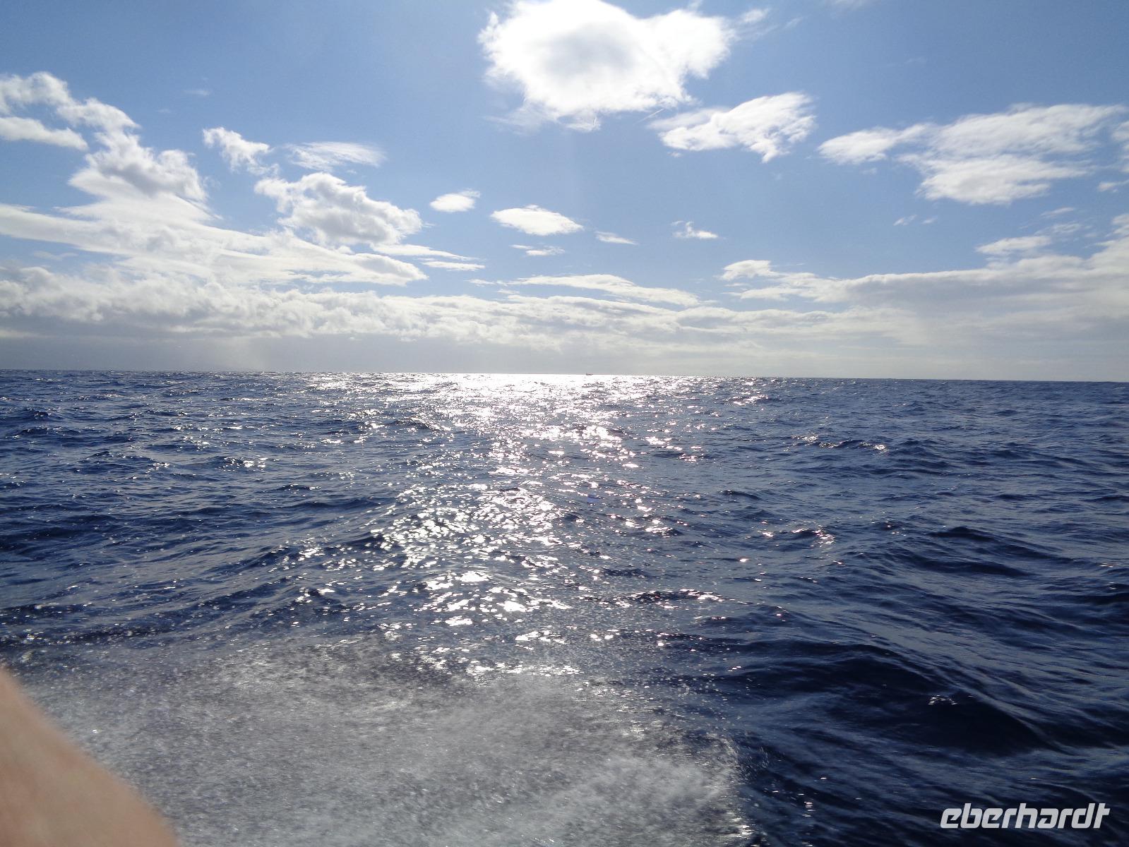 Sao Miguel, Whale-watching, Ponta Delgada &ndash; &copy; Barbara Mihut (Eberhardt TRAVEL)