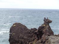 Pico, Cachorro &ndash; &copy; Barbara Mihut (Eberhardt TRAVEL)