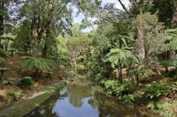 Park Terra Nostra &ndash; &copy; Madlen Lohr (Eberhardt TRAVEL)