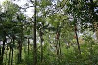Park Terra Nostra &ndash; &copy; Madlen Lohr (Eberhardt TRAVEL)