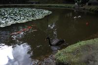 Park Terra Nostra &ndash; &copy; Madlen Lohr (Eberhardt TRAVEL)