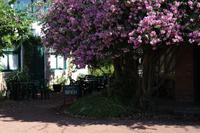 Ananasplantage &ndash; &copy; Madlen Lohr (Eberhardt TRAVEL)