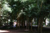 Park Ponta Delgada &ndash; &copy; Madlen Lohr (Eberhardt TRAVEL)