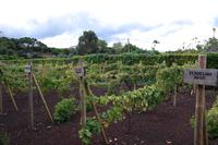 Weinmuseum Adega Brum &ndash; &copy; Madlen Lohr (Eberhardt TRAVEL)