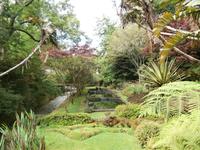 Sao Miguel - Park Terra Nostra &ndash; &copy; Ingrid Langer (Eberhardt TRAVEL)