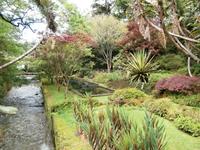 Sao Miguel - Park Terra Nostra &ndash; &copy; Ingrid Langer (Eberhardt TRAVEL)