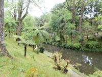 Sao Miguel - Park Terra Nostra &ndash; &copy; Ingrid Langer (Eberhardt TRAVEL)