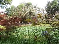 Sao Miguel - Park Terra Nostra &ndash; &copy; Ingrid Langer (Eberhardt TRAVEL)