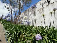 Terceira &ndash; &copy; Ingrid Langer (Eberhardt TRAVEL)