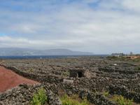 Pico Weinfelder Criacao Velha &ndash; &copy; Ingrid Langer (Eberhardt TRAVEL)
