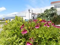 Pico Lajes &ndash; &copy; Ingrid Langer (Eberhardt TRAVEL)