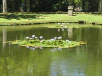 IMG_2278_Park Terra Nostra &ndash; &copy; Rica Schubert (Eberhardt TRAVEL)