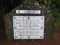 IMG_2305_Ananasplantage A. Arruda &ndash; &copy; Rica Schubert (Eberhardt TRAVEL)