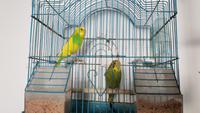 20180910_104643 &ndash; &copy; Ksenia Parfenova (Eberhardt TRAVEL)