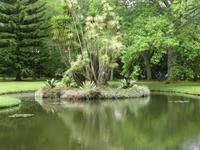 im Park 