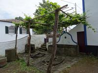 Weinmuseum der Familie Brum in Biscoitos &ndash; &copy; Hans-Joachim Trutz (Eberhardt TRAVEL)