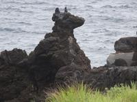 der Hund von Cachorro &ndash; &copy; Hans-Joachim Trutz (Eberhardt TRAVEL)