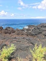 auf Pico