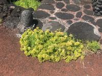 auf Pico &ndash; &copy; Mathias Schirmer (Eberhardt TRAVEL)